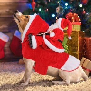 Red Santa Dog Costume with White Trim - Holiday Pet Outfit